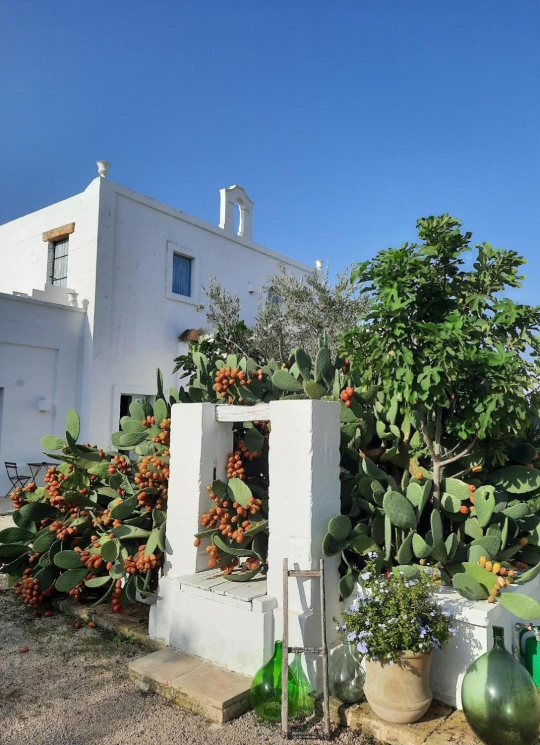Masseria Fulcignano Галатоне Экстерьер фото